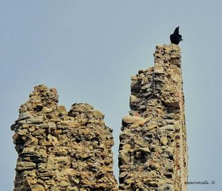 stello di Tripi-22-10-2017 20-42-19